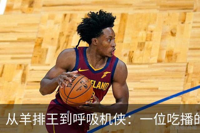 从羊排王到呼吸机侠：一位吃播的悲喜人生